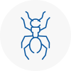 Ant Removals In Warley