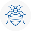 Bed Bug Extermination In Warley