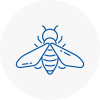 Bee Nest Removal Warley