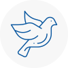 Bird Prevention Warley