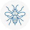 Warley Hornet Nest Removals
