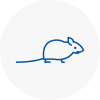 Mice Exterminators In Warley