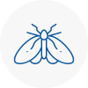 Moth Control Specialists In Warley