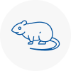 Rat Control Warley