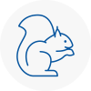 Warley Rodent Removals
