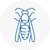 Warley Wasp Nest Removal